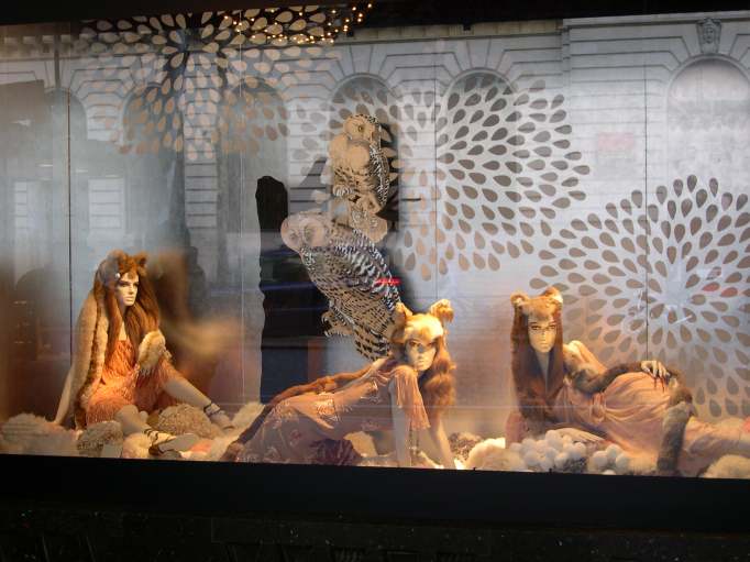  Vitrine de grand magasin